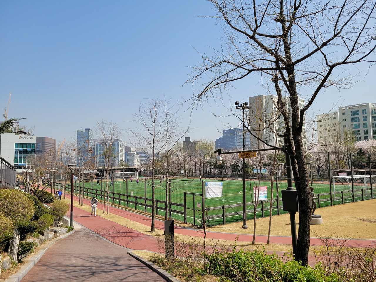 相信雷恩仍