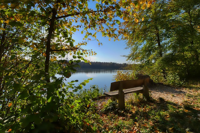 为各自联赛 为各自联赛