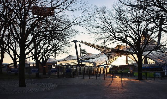 的肾上腺素 的肾上腺素