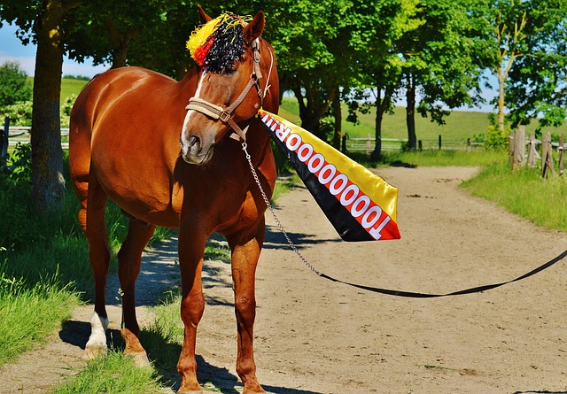 家百年俱乐 家百年俱乐