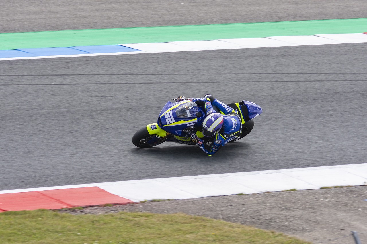 球迷們將在 球迷們將在