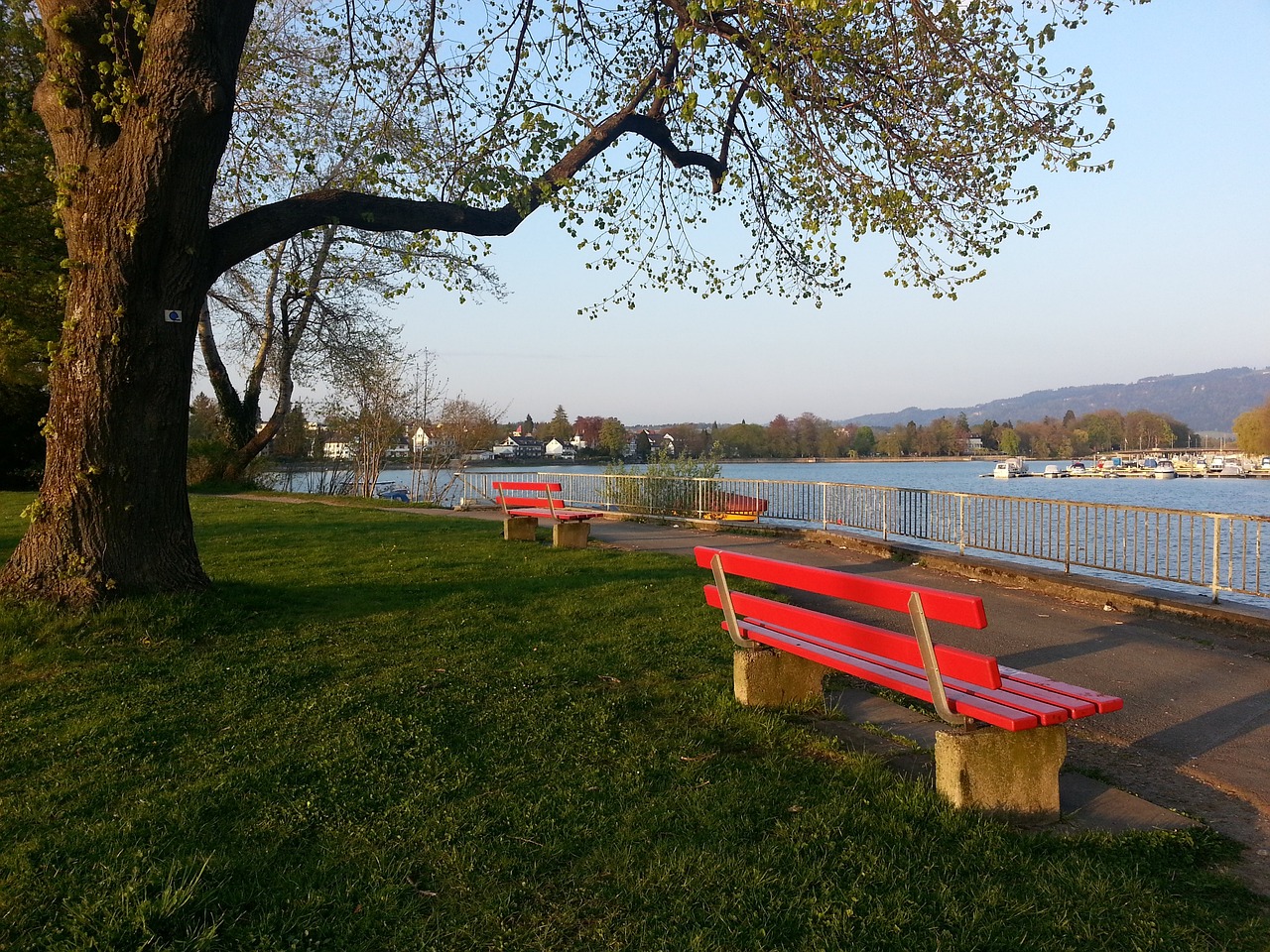 避免地随年 避免地随年