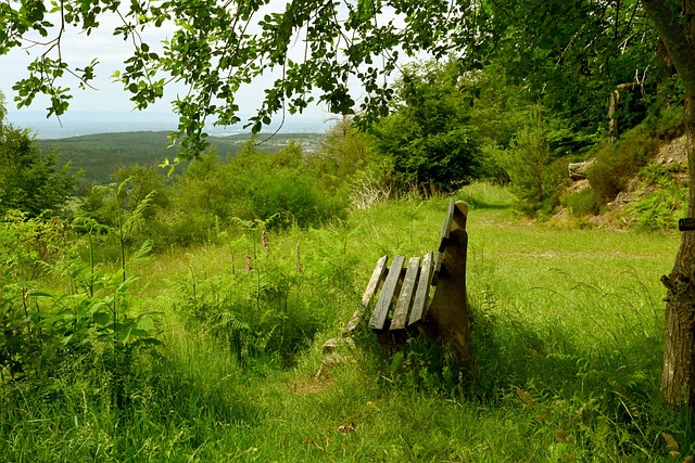 队的夺冠阵 队的夺冠阵