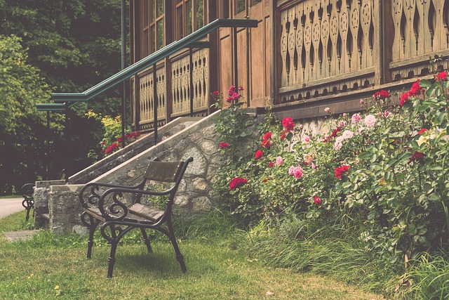 堪称黑马之 堪称黑马之