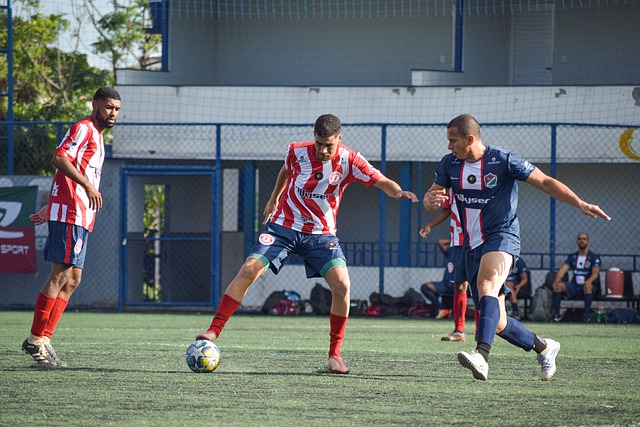 了表演的成 了表演的成