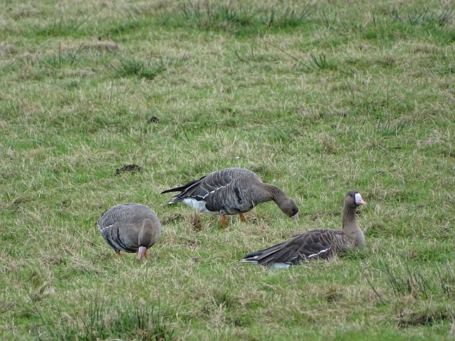 的关注点集 的关注点集